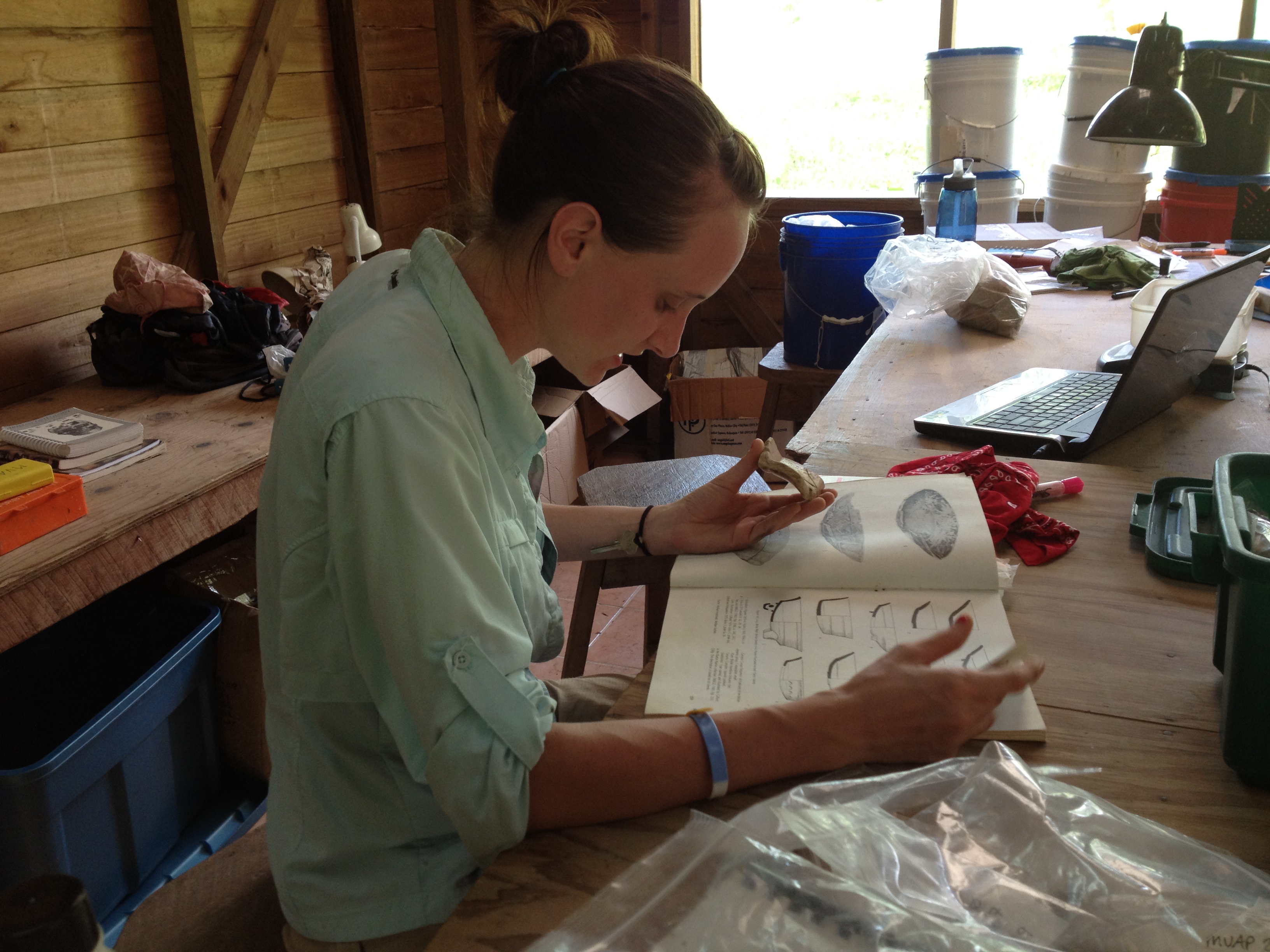 Christy classifying pottery shards