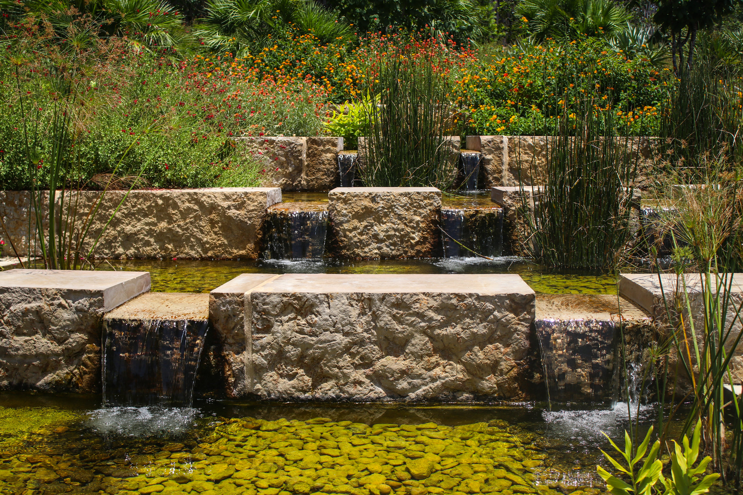 botanical garden
