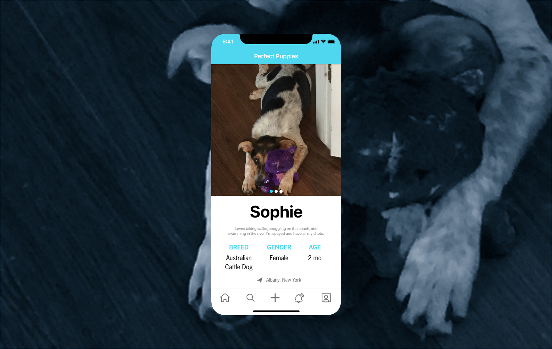 daily ui 06 user profile